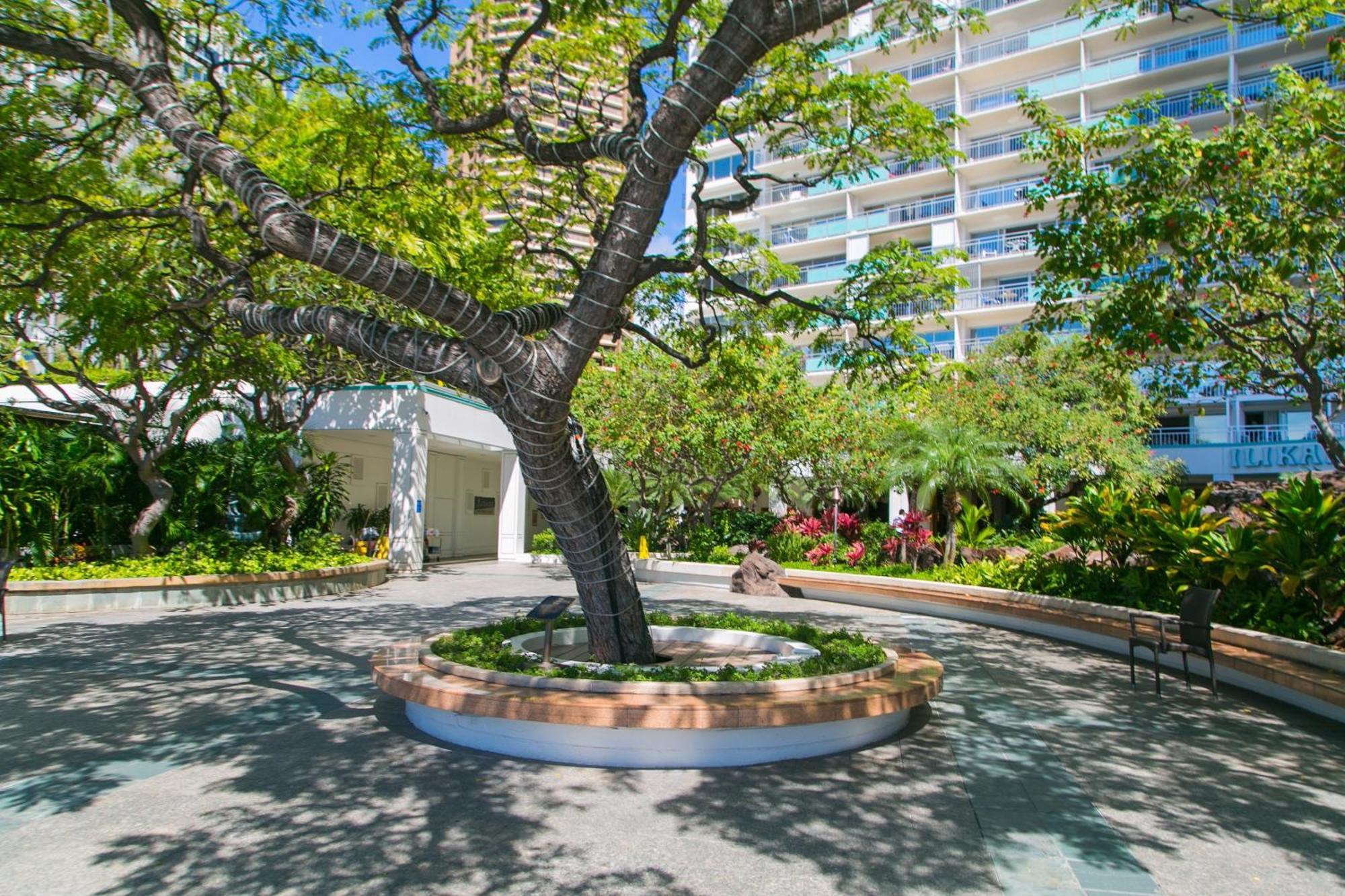 Ilikai Tower 1812 Lagoon View 1Br Honolulu Exterior photo